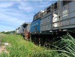VLI 6028